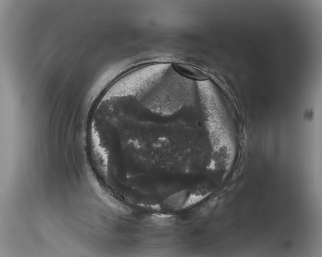 X0000114410055200911061611