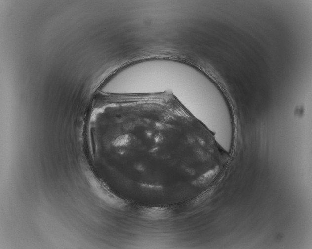 X0000114410058200911061611