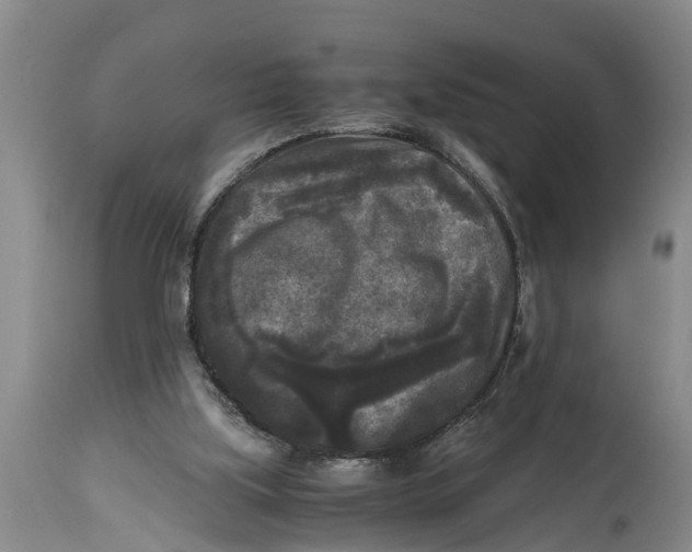 X0000114410059200911061611