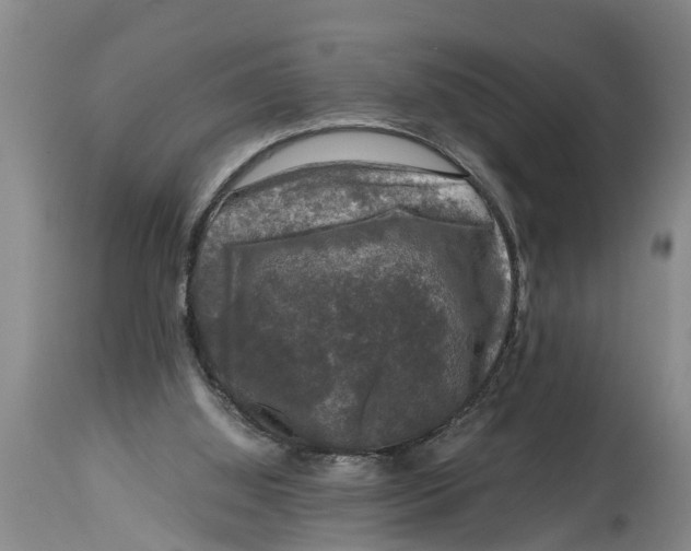 X0000114410060200911061611