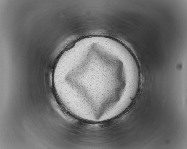 X0000114410061200911061611