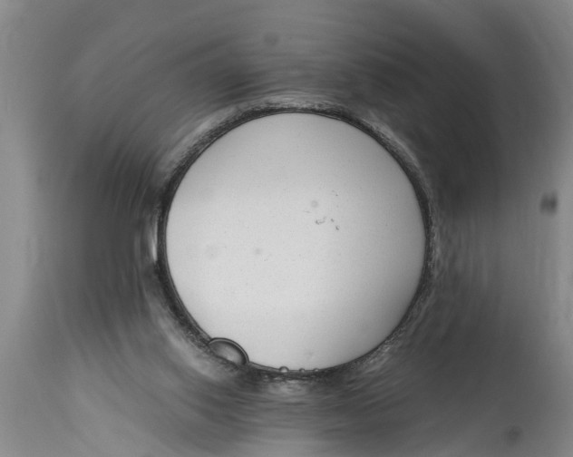 X0000114410062200911061611