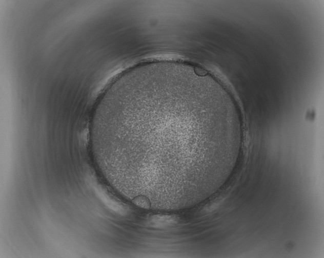 X0000114410063200911061611