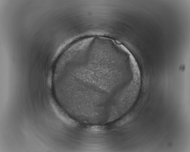 X0000114410064200911061611