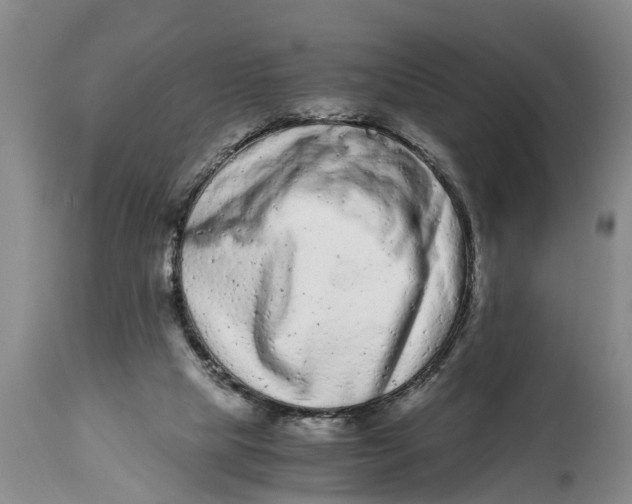 X0000114410065200911061611