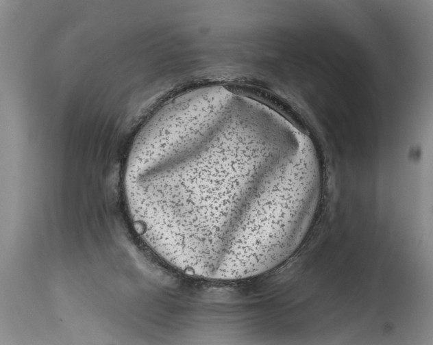 X0000114410066200911061611