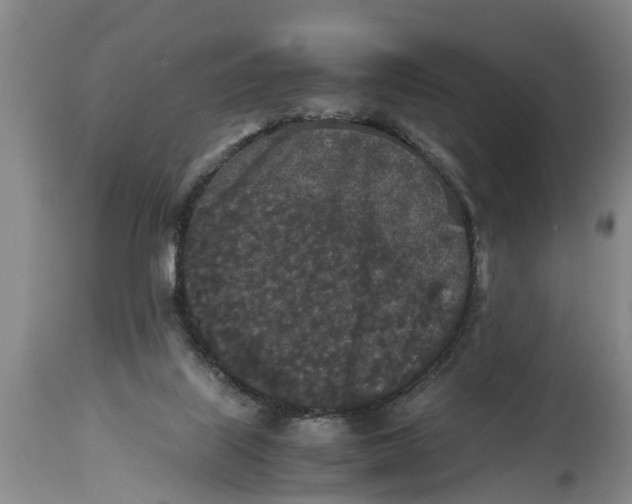 X0000114410067200911061611