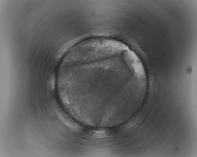 X0000114410068200911061611