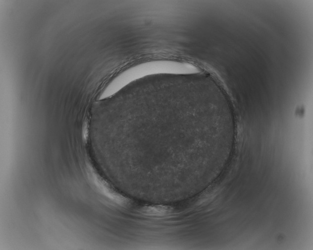 X0000114410069200911061611