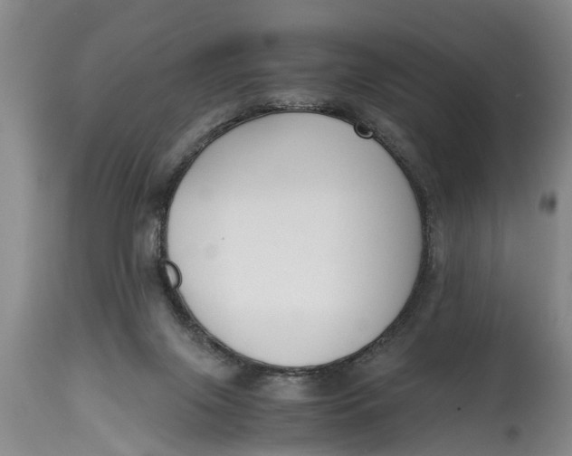 X0000114410071200911061611