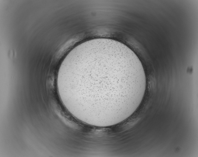 X0000114410072200911061611