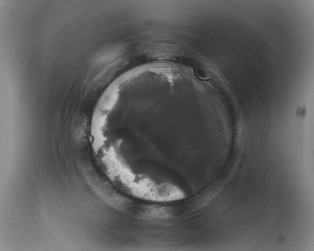 X0000114410073200911061611