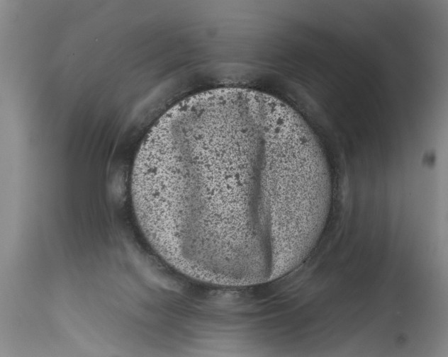 X0000114410074200911061611