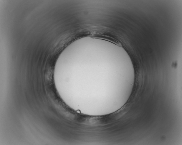 X0000114410078200911061611