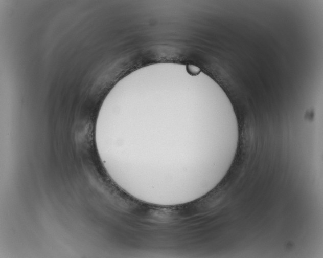 X0000114410079200911061611