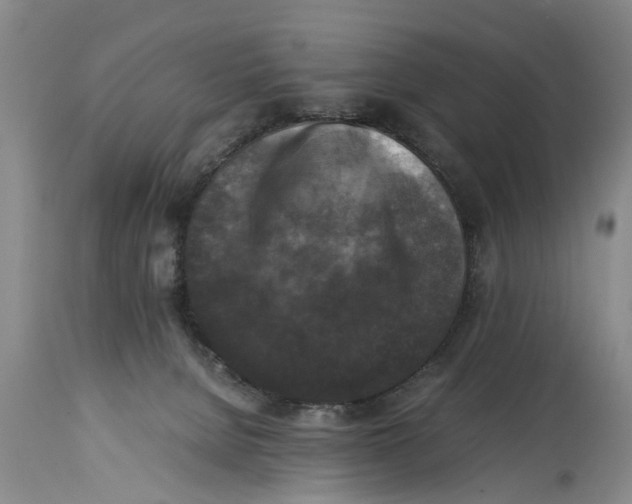 X0000114410080200911061611