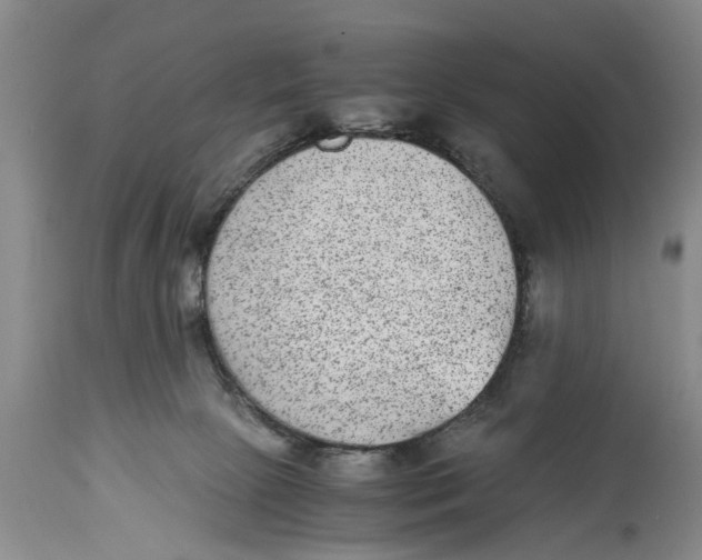 X0000114410081200911061611