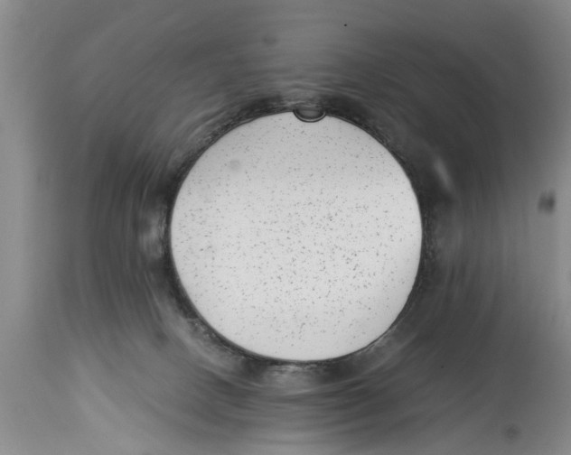 X0000114410082200911061611