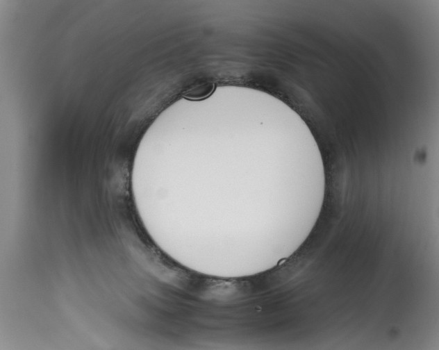 X0000114410083200911061611