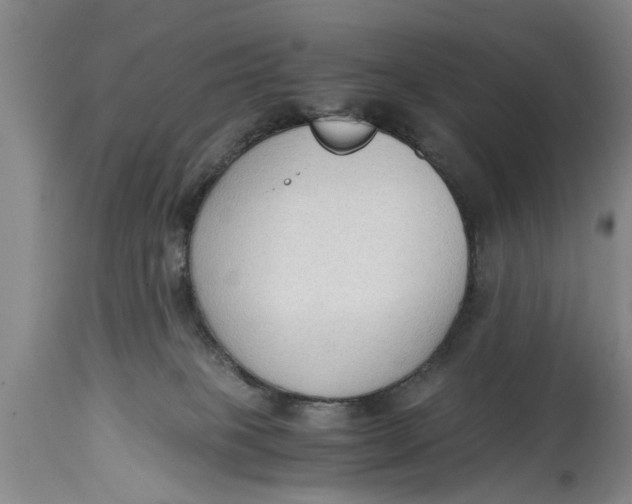 X0000114410085200911061611