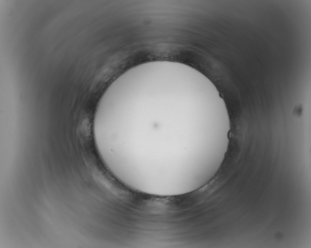 X0000114410086200911061611