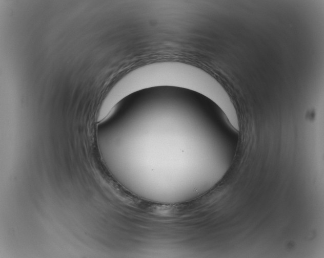 X0000114410088200911061611