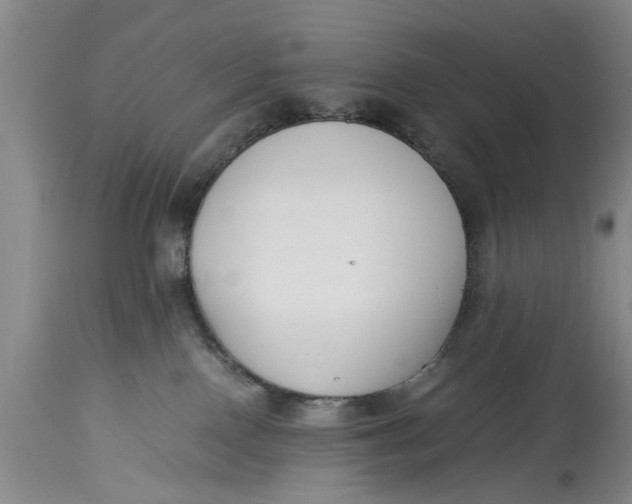 X0000114410090200911061612