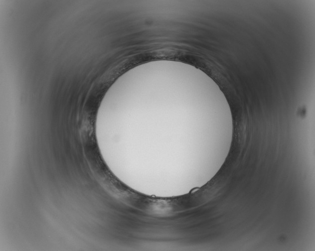 X0000114410091200911061612