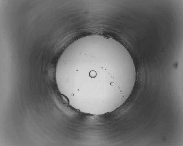 X0000114410092200911061612