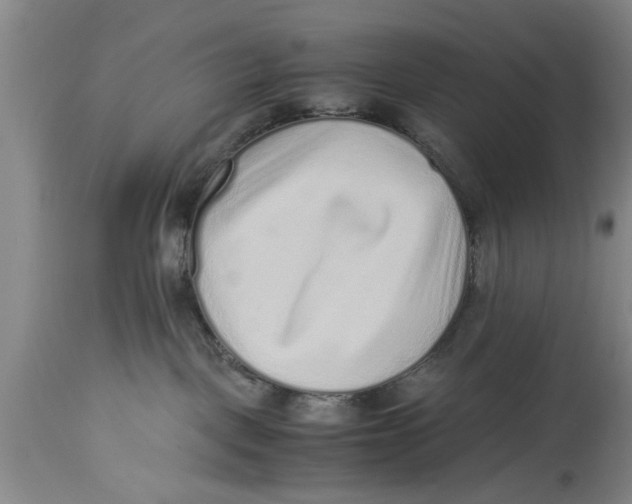 X0000114410093200911061612