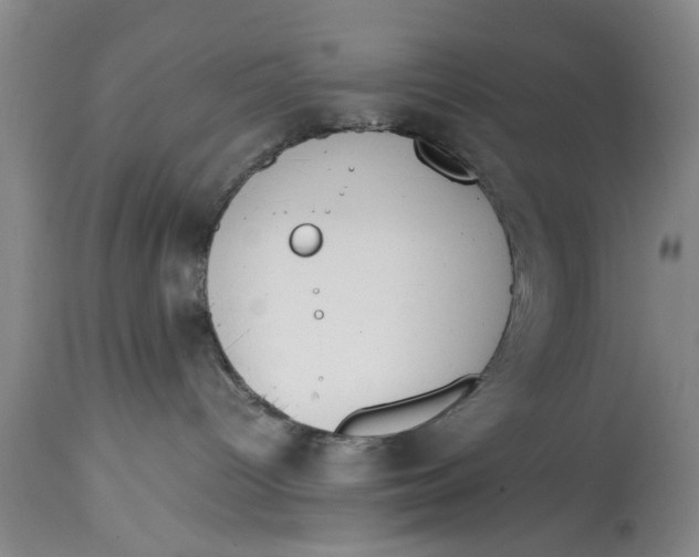 X0000114410096200911061612