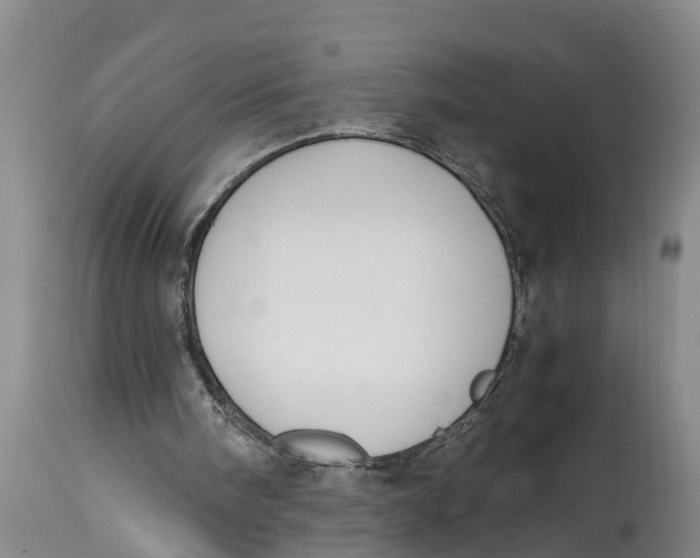 X0000114410098200911061611