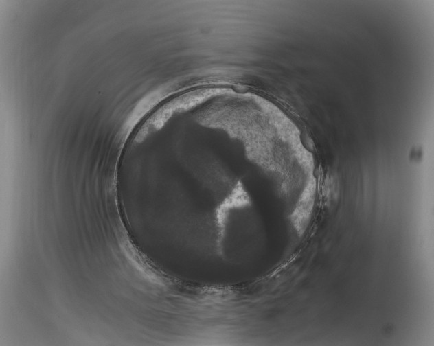 X0000114410099200911061611