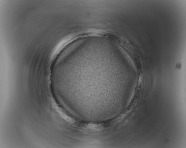 X0000114410101200911061611