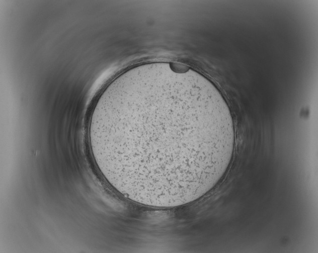 X0000114410102200911061611