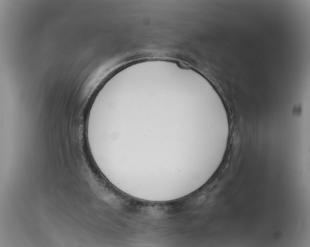 X0000114410103200911061611