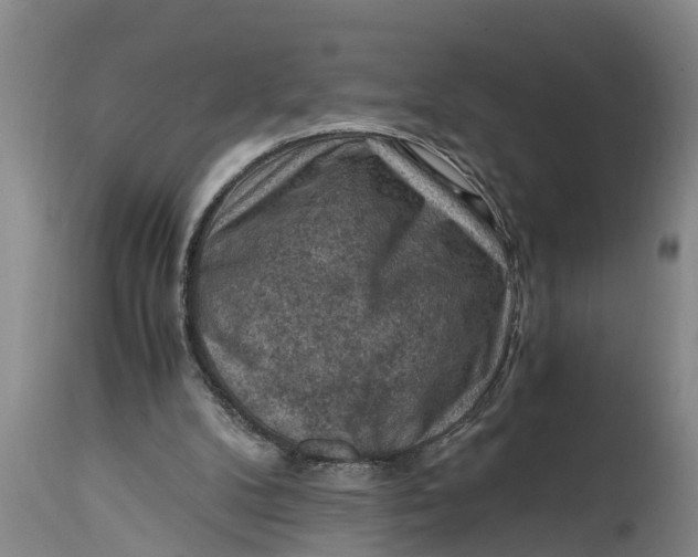 X0000114410104200911061611