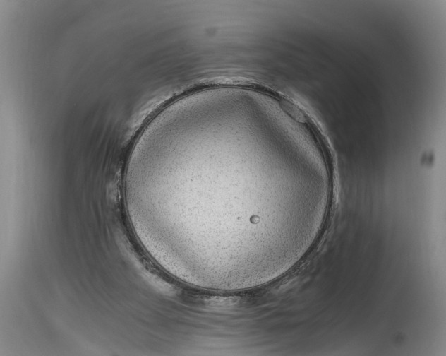 X0000114410105200911061611