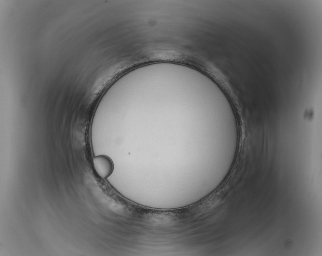 X0000114410106200911061611