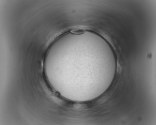 X0000114410109200911061611