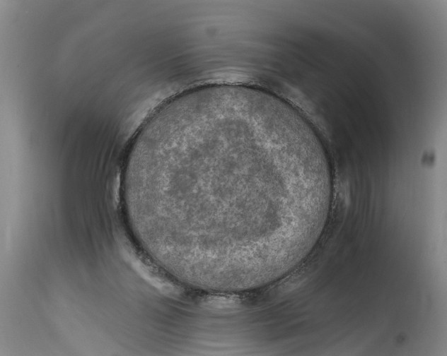 X0000114410110200911061611