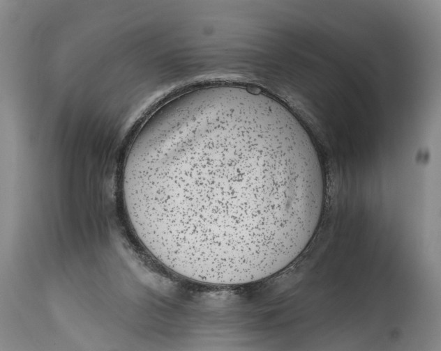 X0000114410112200911061611