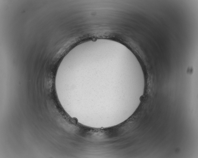 X0000114410113200911061611