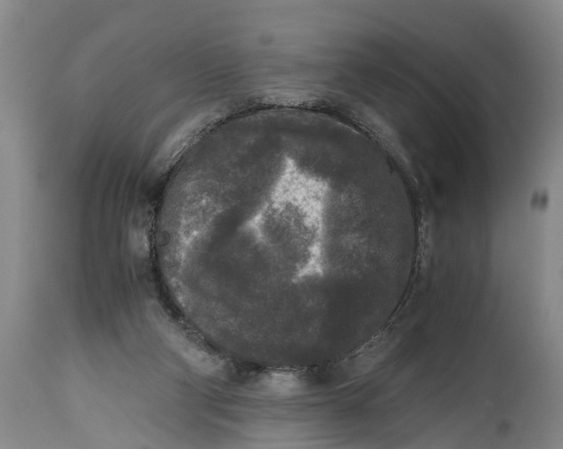 X0000114410114200911061611