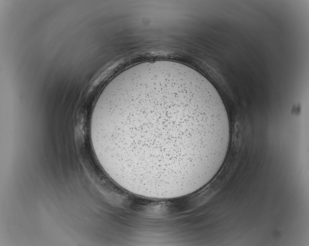 X0000114410116200911061611