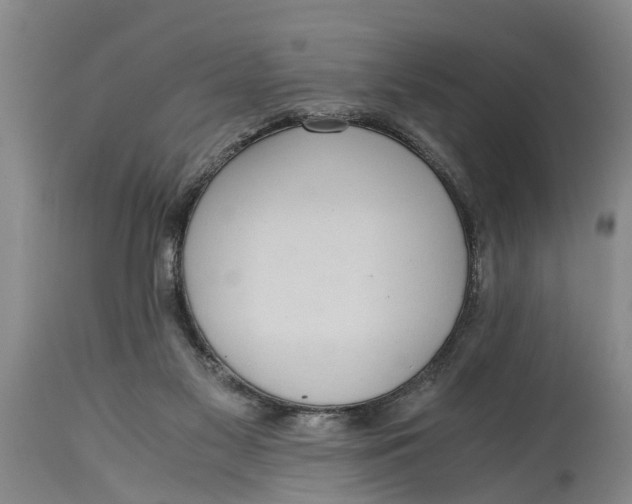 X0000114410117200911061611