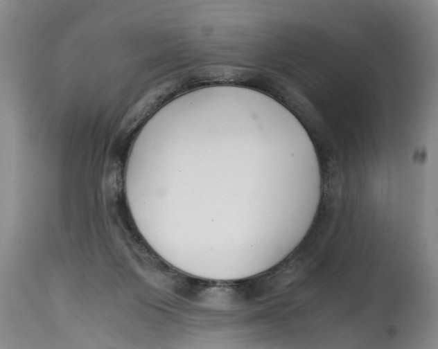 X0000114410119200911061611