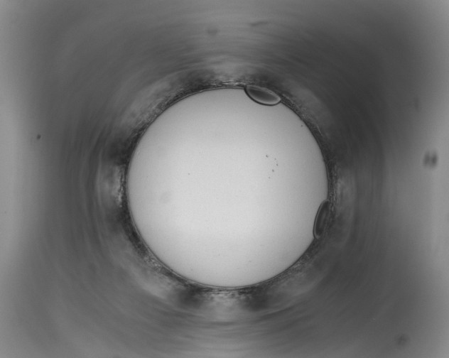 X0000114410121200911061611