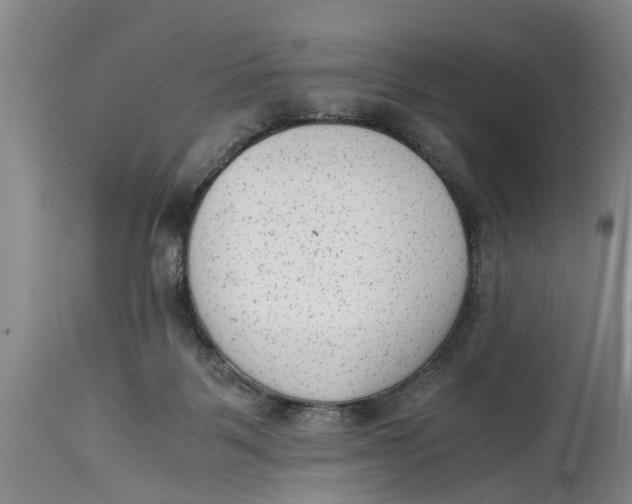 X0000114410123200911061611