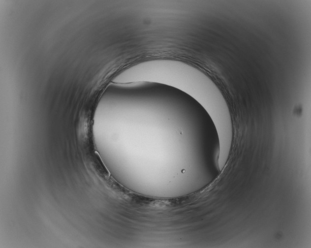 X0000114410124200911061611